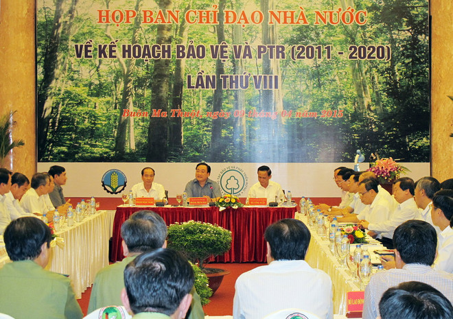 Tập trung ưu tiên 4 nhiệm vụ trọng tâm để bảo vệ, phát triển rừng ảnh 1