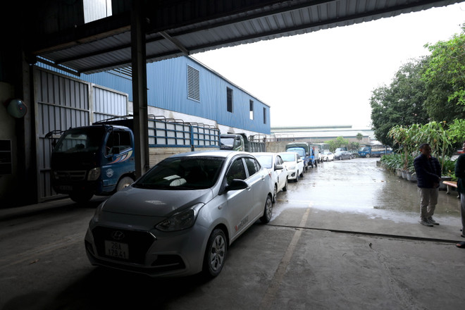 ttxvn-dang kiem2.jpg