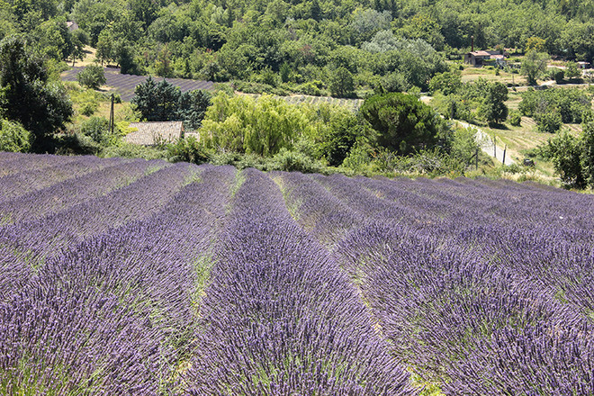 Khám phá những ngôi làng ở nước Pháp nhỏ, xinh và rất tình ảnh 15