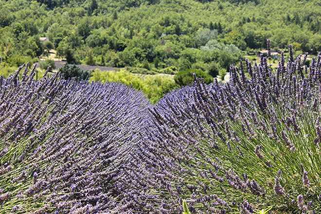 Khám phá những ngôi làng ở nước Pháp nhỏ, xinh và rất tình ảnh 12