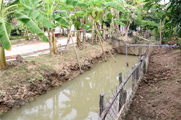 Trữ nước ngọt trong mương là cách các nhà vườn ứng phó với hạn mặn. (Ảnh minh họa. Trần Thị Thu Hiền/TTXVN) Nhiều diễn biến phức tạp về tình trạng hạn, mặn khốc liệt tại Cà Mau ảnh 1