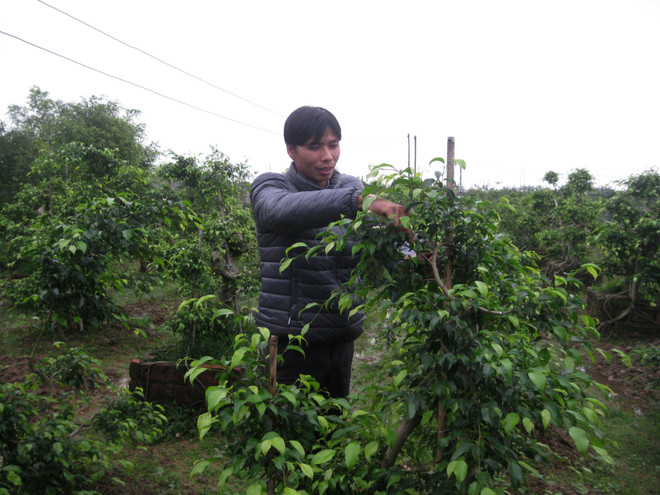 Việt Nam nỗ lực xây dựng mô hình tăng trưởng mang tính bền vững ảnh 1