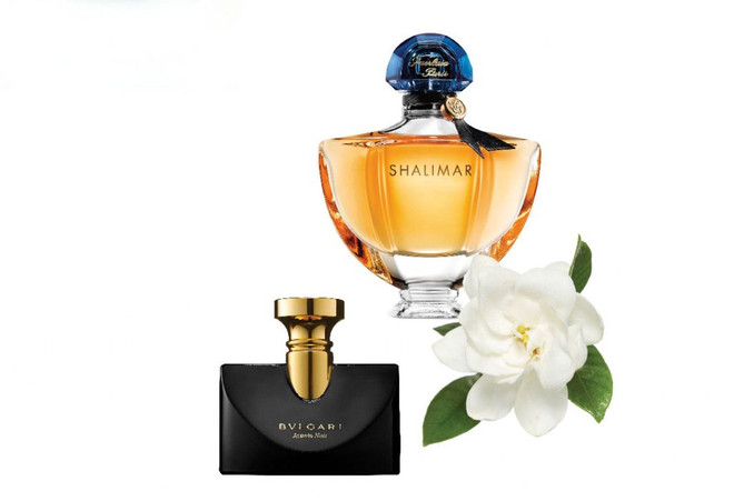 Những nốt hương hoa liệu gắn liền với sự an toàn có nhạt nhòa? ảnh 4