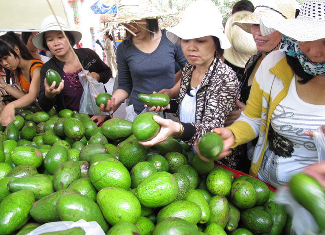 Bến Tre không tổ chức ngày hội trái cây ngon do xâm nhập mặn ảnh 1