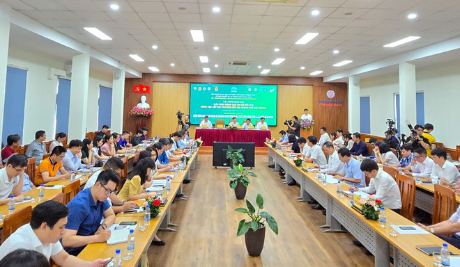 Toàn cảnh Hội thảo giải pháp nâng cao Chỉ số đổi mới sáng tạo cấp địa phương (PII) tại thành phố Hải Phòng. (Ảnh: Cổng Thông tin Điện tử thành phố Hải Phòng) hai phong 2708.jpg