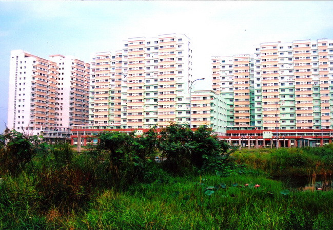 TP. HCM: Bất động sản có giá trên dưới 1 tỷ đồng hút khách ảnh 1