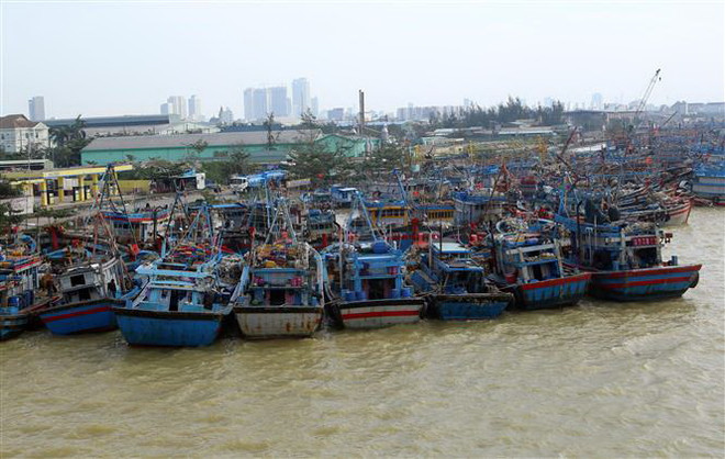 Nghệ An cấm tàu ra khơi, Quảng Nam ra phương án phòng, chống bão ảnh 1