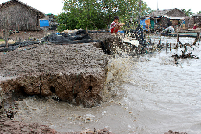 Tỉnh Cà Mau huy động lực lượng chống sạt lở đê biển Tây ảnh 1