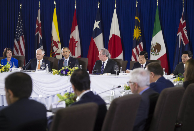 Các nhà lãnh đạo khẳng định quyết tâm sớm đưa TPP vào thực thi ảnh 1