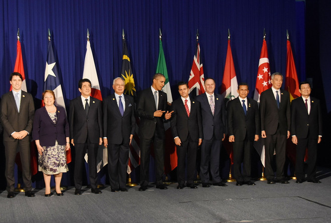 Các nhà lãnh đạo khẳng định quyết tâm sớm đưa TPP vào thực thi ảnh 2