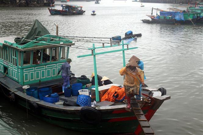 Áp thấp nhiệt đới trên Biển Đông sẽ suy yếu thành vùng áp thấp ảnh 1