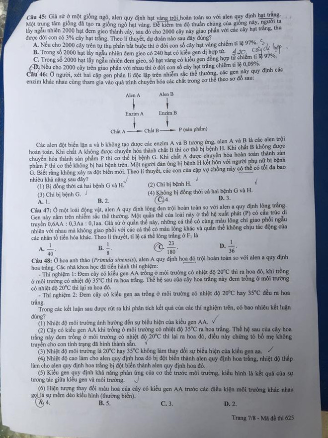 Đề thi chính thức môn Sinh học kỳ thi THPT Quốc gia 2016 ảnh 8
