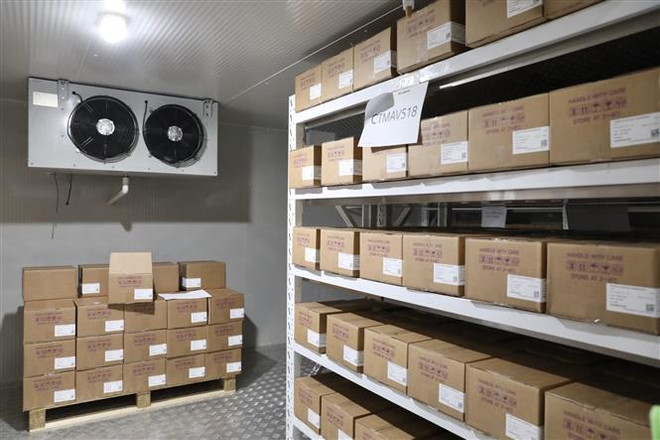 Việt Nam là quốc gia châu Á-TBD đầu tiên được Đức viện trợ vaccine ảnh 3