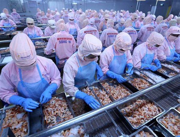 Doanh nghiệp Việt Nam nắm bắt cơ hội tiến vào thị trường châu Phi ảnh 1