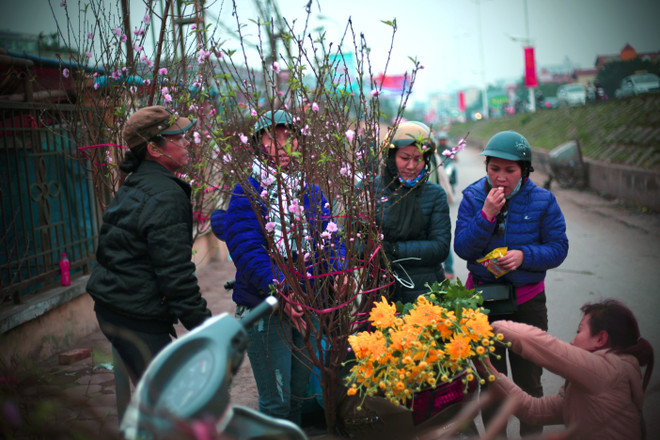 Thú chơi đào trong ngày Tết của người dân Hà thành ảnh 1