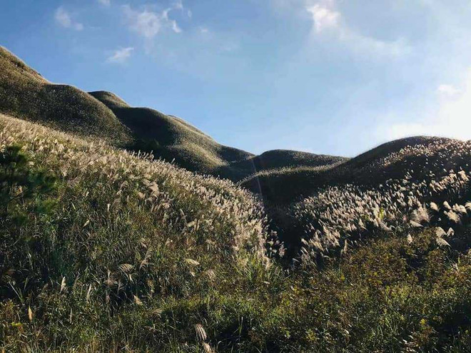 Bình Liêu - Điểm đến hấp dẫn cho người thích khám phá, ưa trải nghiệm ảnh 2