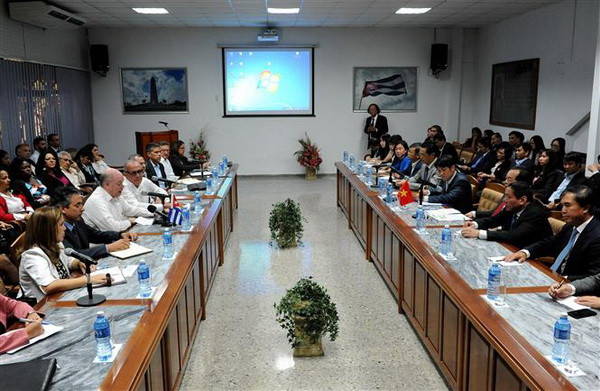 Việt Nam và Cuba thúc đẩy và đa dạng hóa hợp tác kinh tế ảnh 2