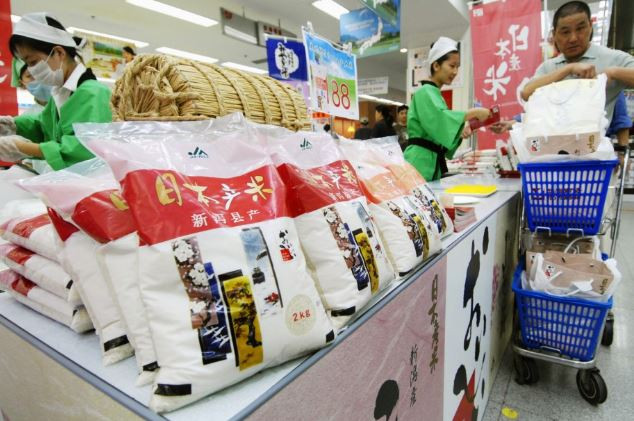Tiêu thụ nội địa giảm, gạo Nhật Bản chuyển hướng sang Trung Quốc ảnh 1