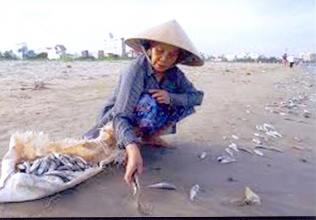 Thông tin chính thức về việc xử lý kỷ luật họa sỹ Nguyễn Nhân ảnh 2