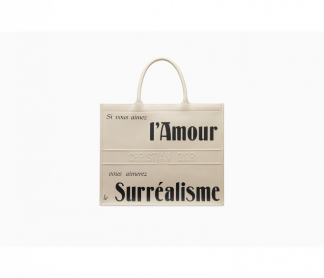 Dior Book Tote - Chiếc túi xách mang theo được cả thế giới ảnh 20