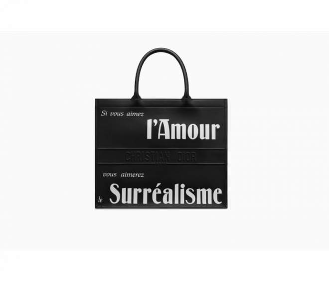 Dior Book Tote - Chiếc túi xách mang theo được cả thế giới ảnh 18