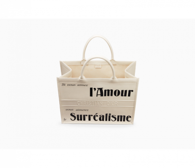 Dior Book Tote - Chiếc túi xách mang theo được cả thế giới ảnh 21