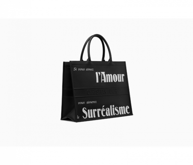 Dior Book Tote - Chiếc túi xách mang theo được cả thế giới ảnh 19