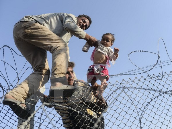 Mỹ bác tin đóng băng các quỹ viện trợ cho người tị nạn Palestine ảnh 1