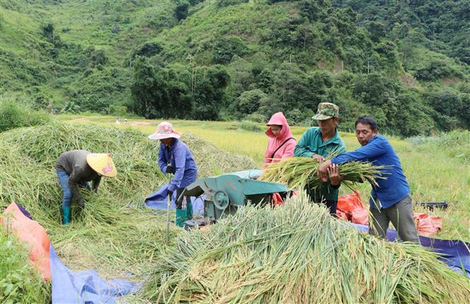 Tỷ lệ hộ nghèo đa chiều liên tục giảm trong giai đoạn 2016-2022 ảnh 2