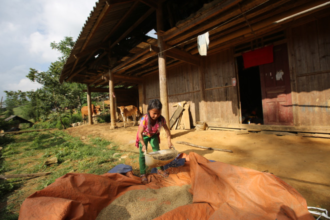 Những đứa trẻ 'đánh rơi' ngày khai giảng trên nương cao ảnh 2