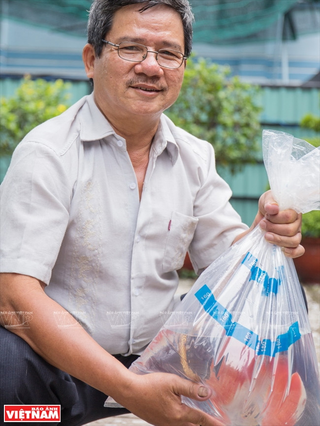 Người dân Bình Dương làm giàu từ mô hình nuôi cá dĩa thương phẩm ảnh 5