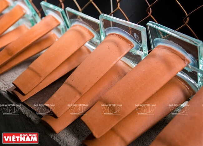 Người dân Bình Dương làm giàu từ mô hình nuôi cá dĩa thương phẩm ảnh 4