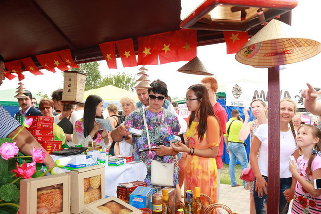 Việt Nam dự ngày hội các nước tiểu vùng sông Mekong tại Đức ảnh 1