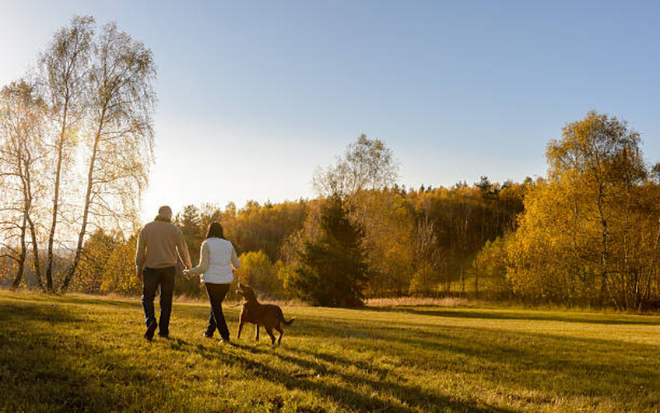 Hâm nóng tình cảm với 13 gợi ý hẹn hò lãng mạn cho mùa Thu ảnh 1
