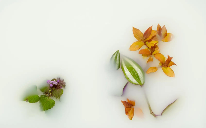 Vì sao các tín đồ làm đẹp lại thích xông mặt thảo dược? ảnh 2