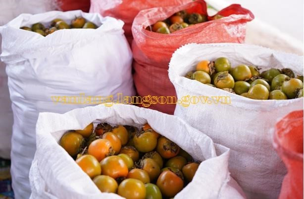 Phụ nữ Việt Nam với khát vọng làm giàu cho gia đình và quê hương ảnh 2