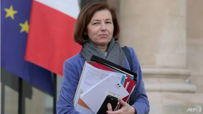 Pháp: EU quan ngại về cam kết dài hạn của Mỹ đối với NATO ảnh 1