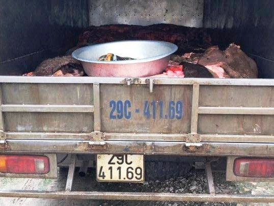Hà Nội: Cảnh sát giao thông bắt giữ xe tải chở 1 tấn da trâu bò ảnh 1