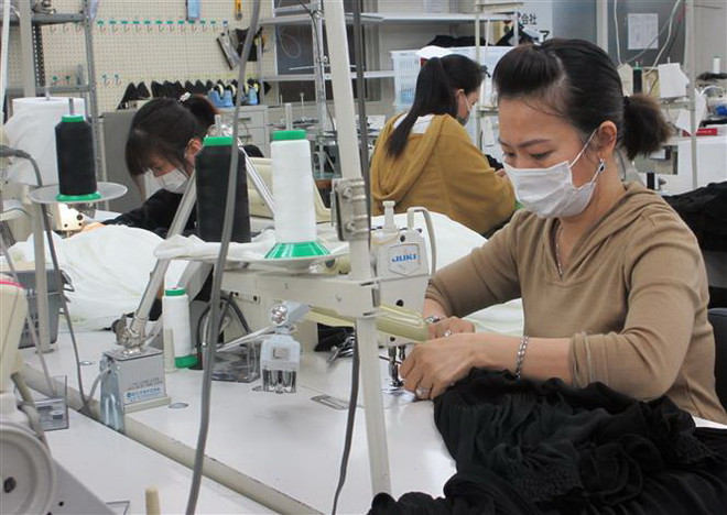 Thực tập sinh Việt Nam tại Công ty Trách nhiệm hữu hạn Mishow (Tokyo). (Ảnh minh họa. Đào Thanh Tùng/TTXVN) Nhật Bản đối mặt với tình trạng gia tăng thẻ cư trú giả ảnh 1