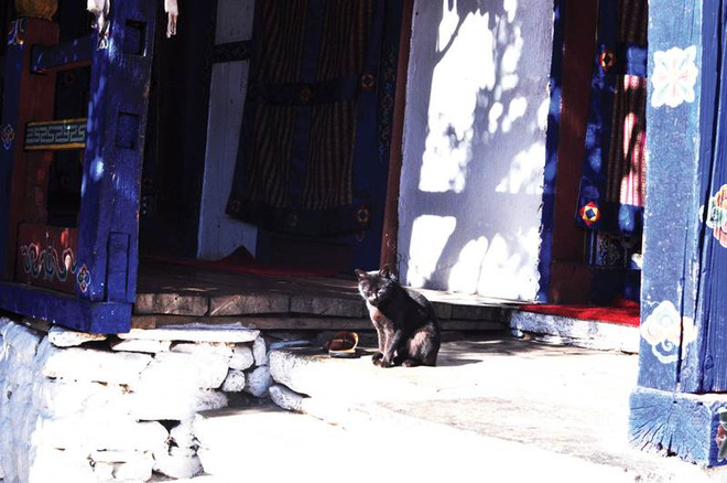  "Vùng đất của Thần Sấm" Bhutan - Quốc gia hạnh phúc nhất thế giới ảnh 4