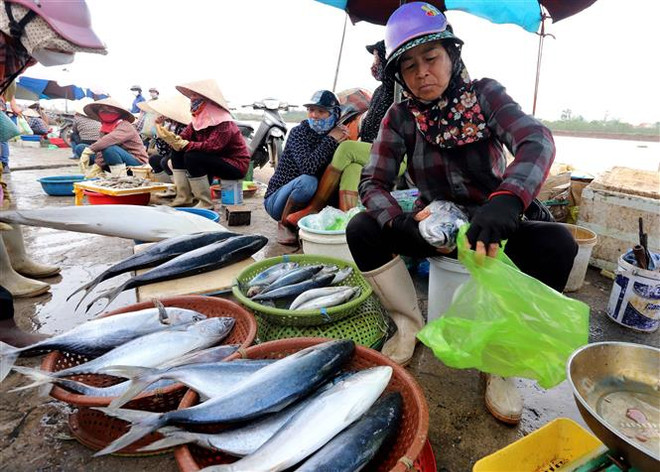 Không chắc chắn về mục tiêu xuất khẩu thủy sản cả năm đạt 10 tỷ USD ảnh 1