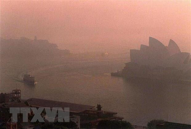 LHQ nhận định về sự thành bại của cuộc chiến chống biến đổi khí hậu ảnh 1