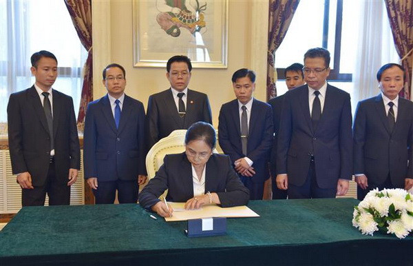 Sứ quán Việt Nam tại Trung Quốc tổ chức lễ viếng Chủ tịch nước ảnh 3