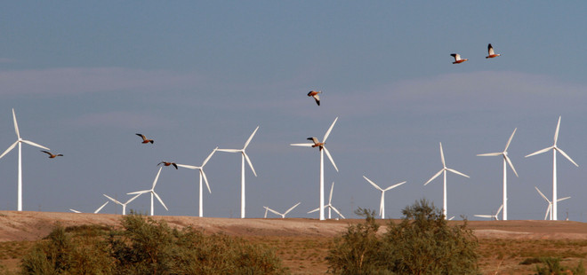 UAE đầu tư 35 tỷ USD phát triển năng lượng sạch đến 2021 ảnh 1