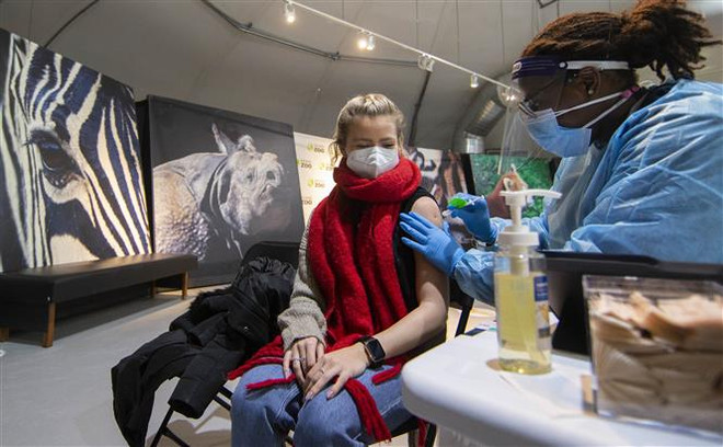 Nghiên cứu mở ra triển vọng bào chế vaccine phòng virus SARS-CoV-2 ảnh 1