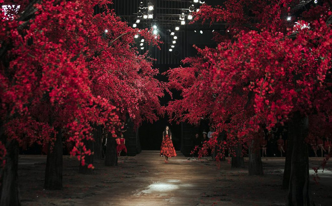 Tăng Thanh Hà tái xuất trên sàn catwalk show diễn của Đỗ Mạnh Cường ảnh 1
