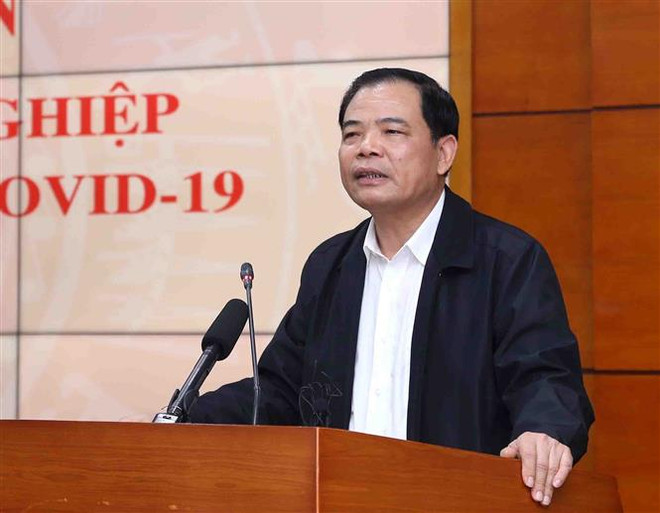 Bộ trưởng Bộ Nông nghiệp và Phát triển Nông thôn Nguyễn Xuân Cường. (Ảnh: Vũ Sinh/TTXVN) Bộ trưởng NN&PTNT: Đẩy mạnh tái đàn lợn an toàn bù thiếu nguồn cung ảnh 2