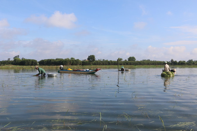 Hơn 660 tỷ đồng cho dự án thoát lũ vùng Đồng Tháp Mười ảnh 1