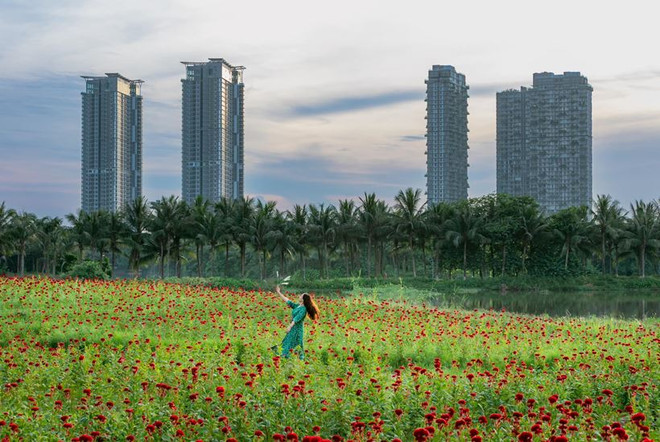 Công trình tạo dấu ấn kỳ tích của Ecopark cả khi thị trường biến động ảnh 6