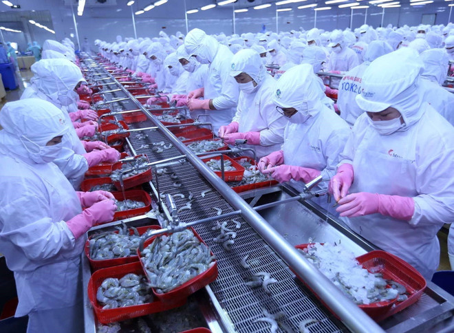 Thủy sản là một trong các mặt hàng xuất khẩu tăng trưởng mạnh nhất của Việt Nam trong những năm đổi mới. (Ảnh: Vũ Sinh/TTXVN) Phó Thủ tướng: Phấn đấu hoàn thành kế hoạch phát triển KT-XH 2020 ảnh 1